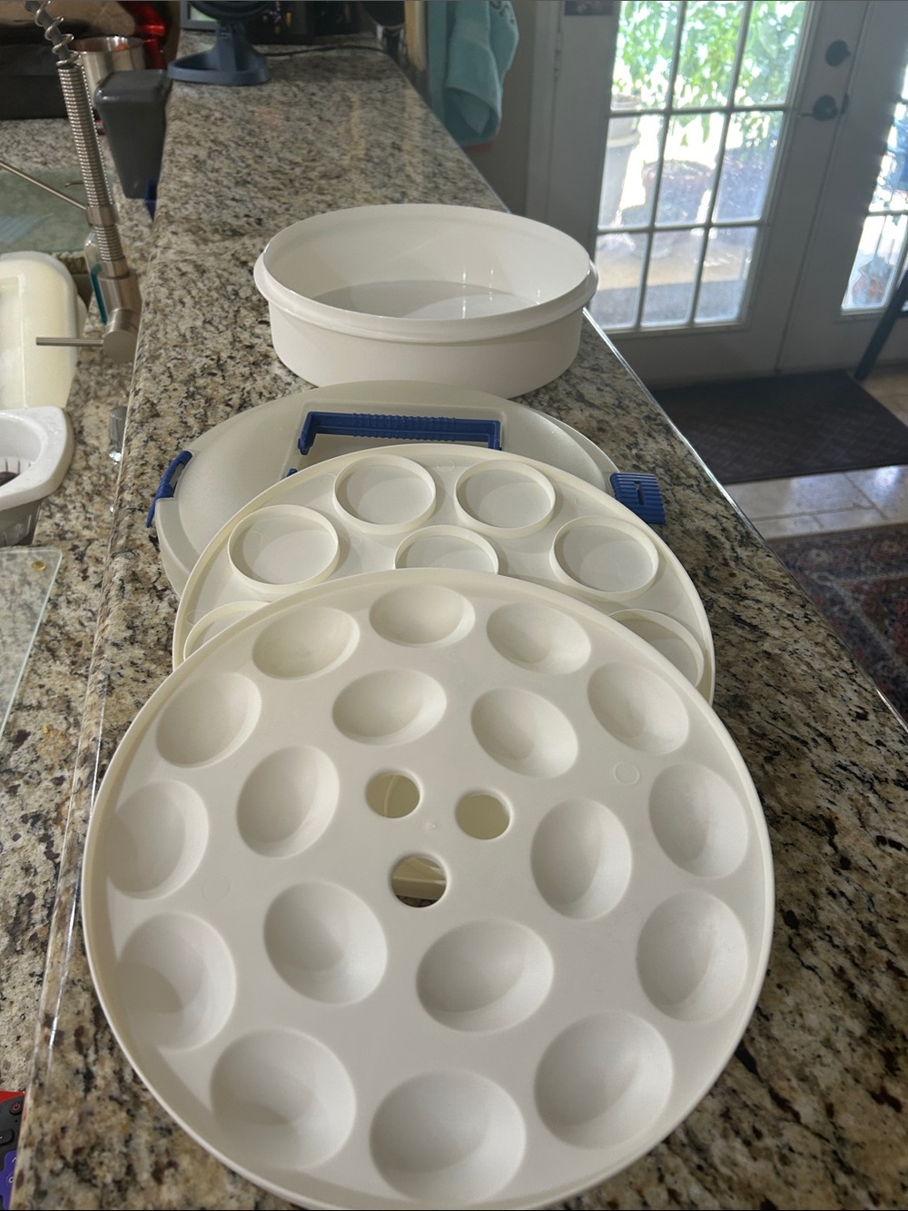 Multi purpose food carrier by Iris Schwartz Deviled Egg & Cake/Cupcake Carrier